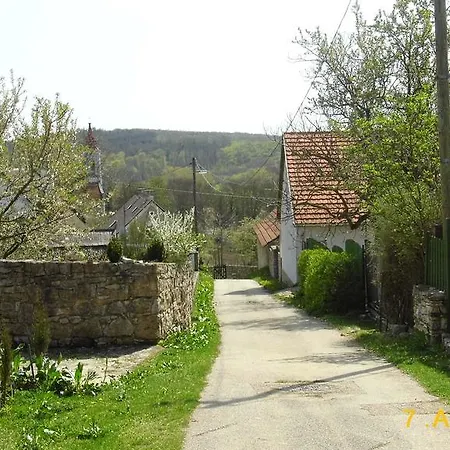 Casa vacanze Nemesdombi *